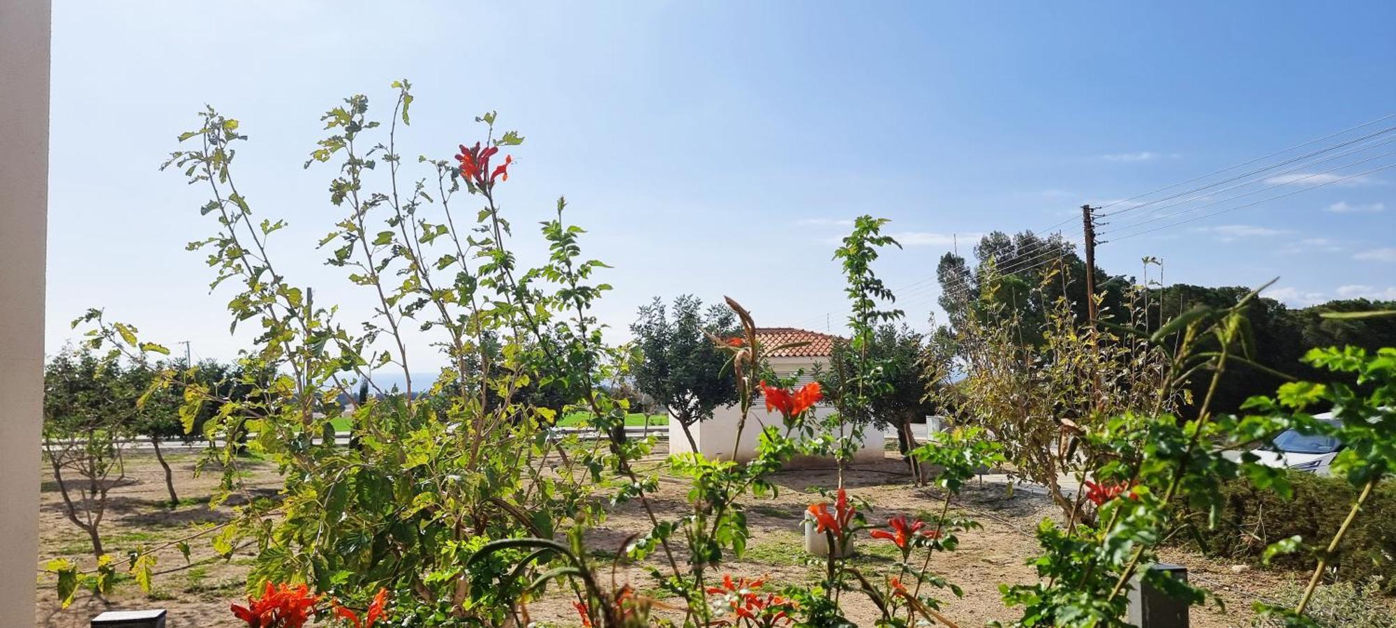 Shanti Paphos Villa Bagian luar foto